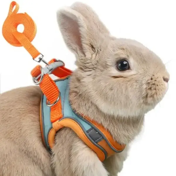 Adjustable Bunny Harness and Leash Set, Rabbit Vest Supplies