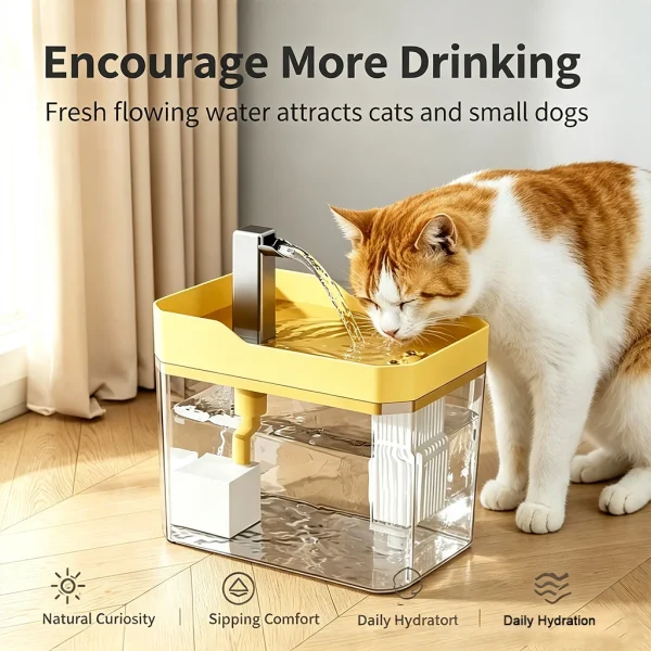 Cat Water Fountain Auto Filter ,USB Powered s, 1.5L Large Capacity, SilentRunning, Transparent Water Level, Spill-Free Base